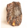 CECINA DE VACA BONELESS