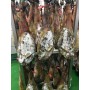 Jamón Ibérico de Bellota IBERUS HISPANIA