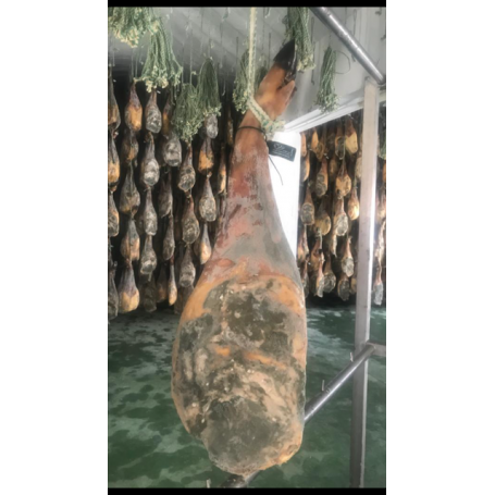PALETA IBERICA DE CEBO CAMPO CERTIFICADA
